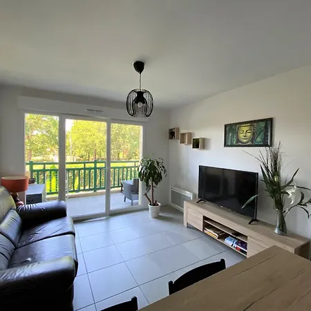 Bel Renove Proche Centre Et A Vieux-boucau - Fr-1-239-826 Apartamento *